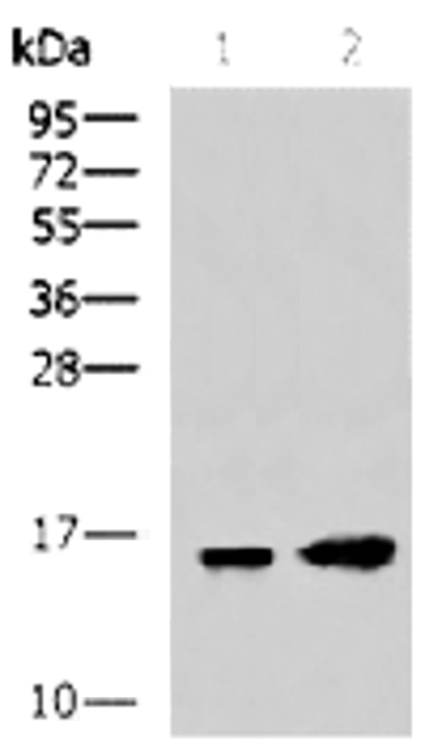 TD-BYX-0024.png